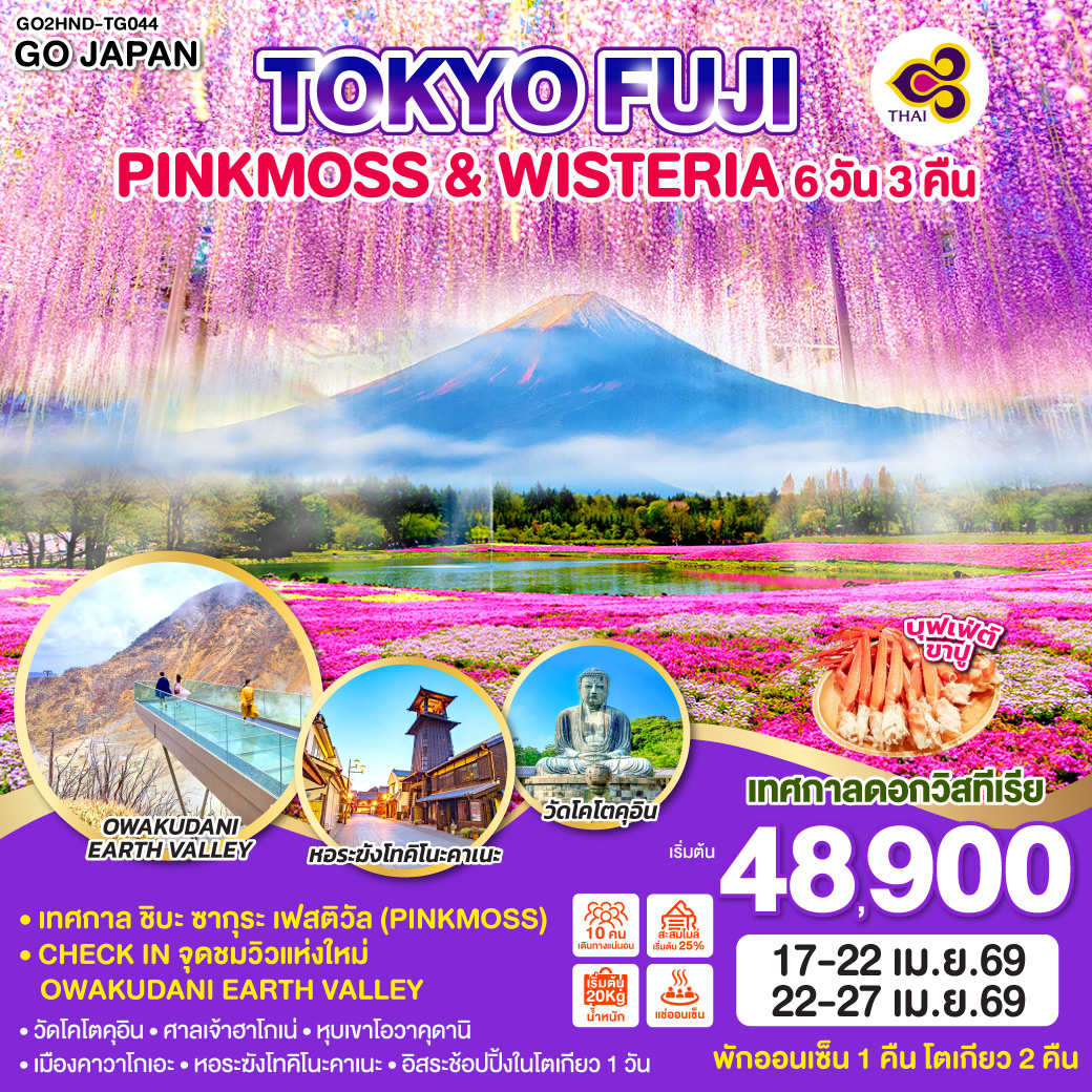 ทัวร์ญี่ปุ่น TOKYO FUJI PINKMOSS & WISTERIA 6วัน 3คืน (TG)